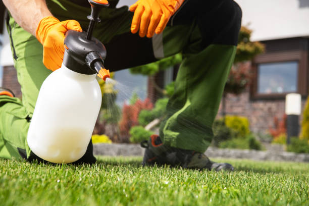 Best Pest Control Near Me in Scottville, MI