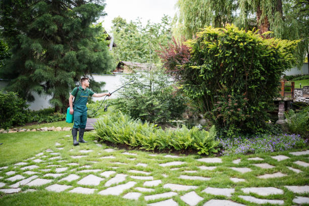 Best Pest Prevention Services  in Scottville, MI