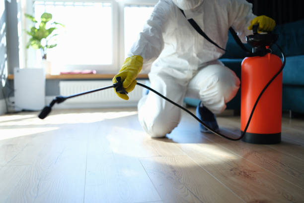 Best Mosquito Control Services  in Scottville, MI