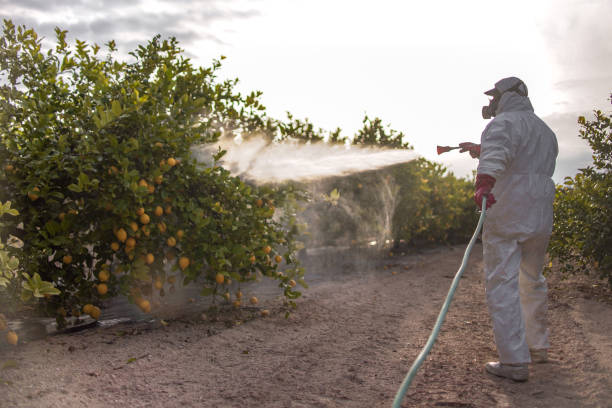 Best Best Pest Control Companies  in Scottville, MI