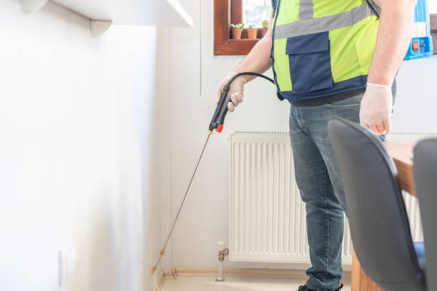 Best Affordable Pest Control Services  in Scottville, MI