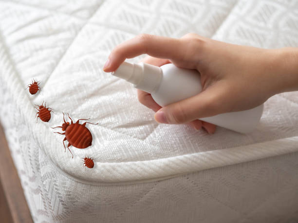Pest Control Cost in Scottville, MI