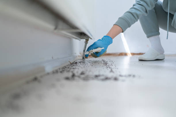 Best Residential Pest Control  in Scottville, MI